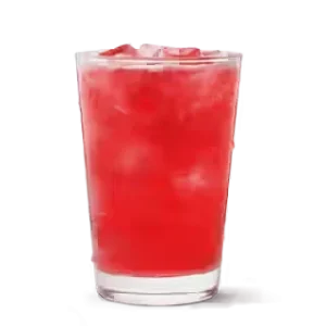 Strawberry Watermelon Sparkling Quencher – Fruity Fizz